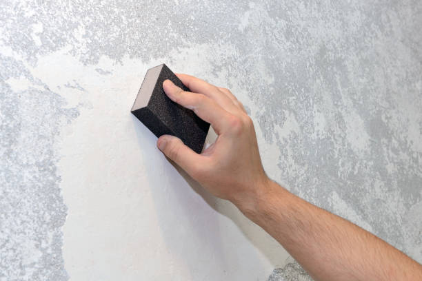 Best Biohazard Mold Removal  in East Glenville, NY