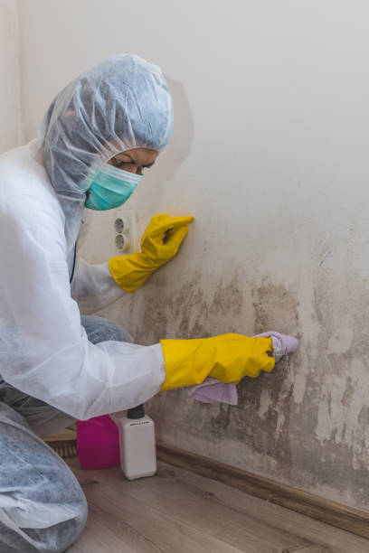 Best Indoor Air Quality Assessment  in East Glenville, NY