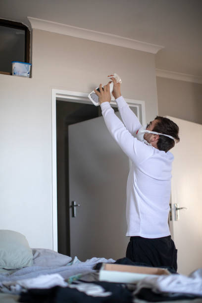 Trusted East Glenville, NY Mold Removal Experts