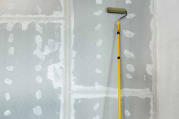 Best Mold-Related Health Consultation  in East Glenville, NY