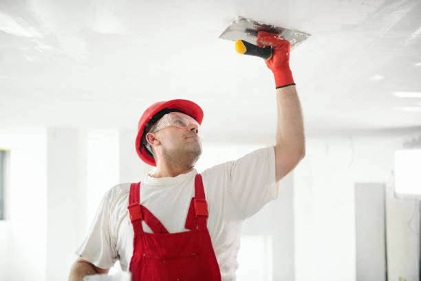 Best Mold Documentation for Insurance Claims  in East Glenville, NY